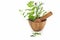Wooden mortar and pestle with herbs