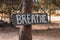 A wooden motivating tablet on an old pine tree in an autumn park says â€œBreathe