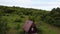 Wooden mountain rural house on the meadow in forest. Aerial drone view