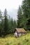 Wooden mountain village house in forest.