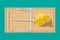 Wooden mouse trap with cheese,