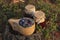 Wooden mug full of fresh ripe blueberries, lingonberries and jars with jam on stump