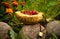 Wooden mug with red berries of red currant. Picking summer berries. Vitamins.