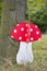 Wooden mushroom in forest