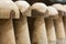 Wooden mushrooms standing in a line