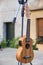 Wooden musical string instrument ukulele before a street concert.