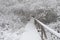 Wooden nature studies path leading through carbon dioxide storing moor and peatland in Bavaria in winter with snow-covered