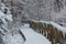 Wooden nature studies path leading through carbon dioxide storing moor and peatland in Bavaria in winter with snow-covered