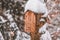 Wooden nesting box for solitary bees. Small insect hotel during winter in Harz Mountains National Park, Germany