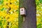 Wooden Nesting Box on Tree Trunk