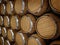 Wooden oak brandy wine beer barrels rows