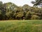 A wooden observation post for hunters on meadow near forest