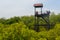 The wooden Observation tower in mangrove forest at Pranburi Fore