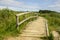 Wooden old board walk between big grass in the summer at the baltic sea - Ostsee in germany