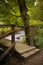 Wooden old bridge in a beautiful pine forest