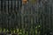 Wooden old fence. Countryside and abandoned village plot