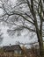 Wooden old house in bare forest