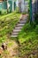 Wooden old stairs at natural panoramic countryside