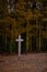 Wooden orthodox crosses in the forest