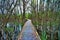 Wooden overpass through trees