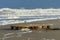 Wooden packing crate washed ashore