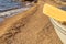 A wooden paddle on a boat on a sandy beach.