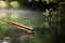 Wooden paddle over misty water