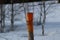A wooden pale that serves to determine the height of the snow .