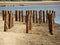 Wooden pales at the beach