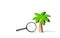 Wooden palm tree and a magnifying glass on an isolated background. The development of tourism. Tropical island. Conceptual leisure