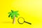 Wooden palm tree and a magnifying glass on an yellow background. development of tourism. Tropical island. Conceptual leisure