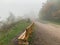 Wooden park bench situated in a tranquil, foggy setting