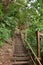 Wooden path accross the jungle, right next to Ao Nang Beach