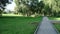 Wooden path along the stream