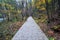 Wooden path in autumn forest