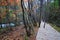 Wooden path in autumn forest