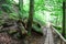 Wooden path and bridge in the forest. Eco trail among boulders and trees on a summer day. The concept of ecology