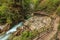 Wooden path in canyon,Vintgar Gorge,Slovenia,Europe