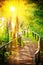 Wooden path in forest