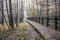 A wooden path in Kampinos National Park, Warsaw, Poland