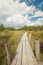 Wooden path on marsh