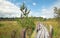 Wooden path on marsh in summer