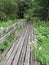 Wooden path in marshland