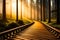 A wooden path in the middle of a railway in autumn forest, Walking through some huge trees