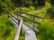 Wooden path in moor area