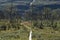 Wooden path in mountain landscape in swedish Lapland