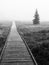 Wooden path in peat bog in black and white, Bozi Dar, Czech Republic, Europe. Bleak autumn landscape scene