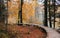 Wooden path in Plitvice National Par