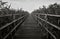 Wooden path through reeds, Federseesteg, Bad Buchau, Germany