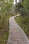 Wooden path on Rock glacier trailhead near Dezadeash lake.